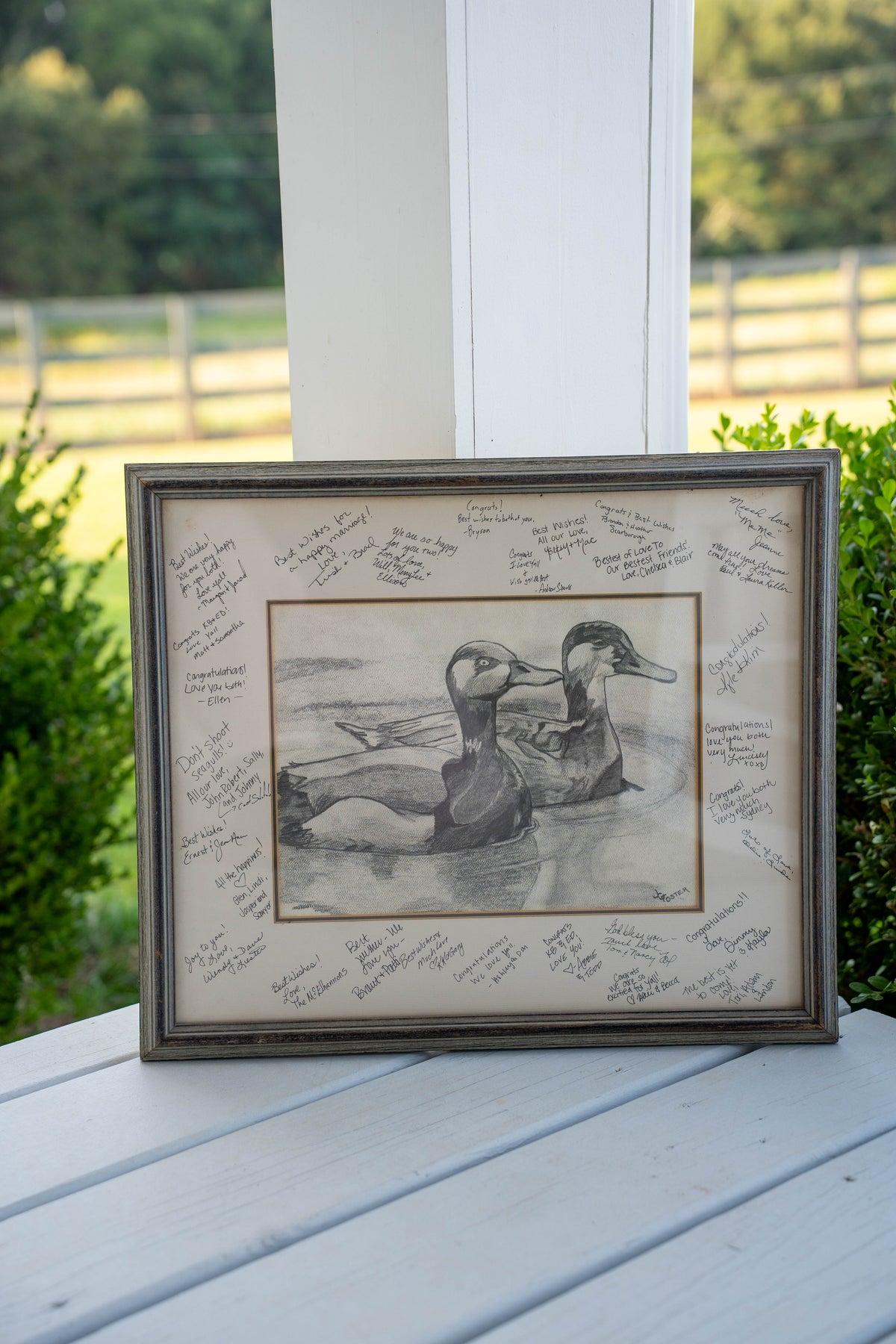 Duck Pencil Art